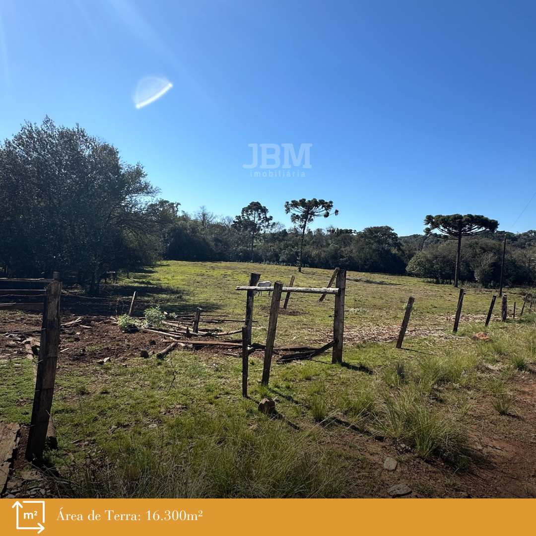 Área de Terra em Bom Jesus