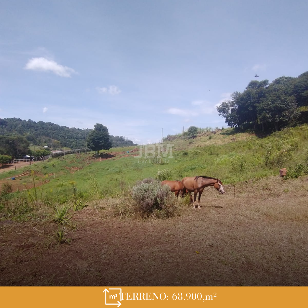 SÍTIO A VENDA A POUCOS MINUTOS DO CENTRO DE XANXERÊ