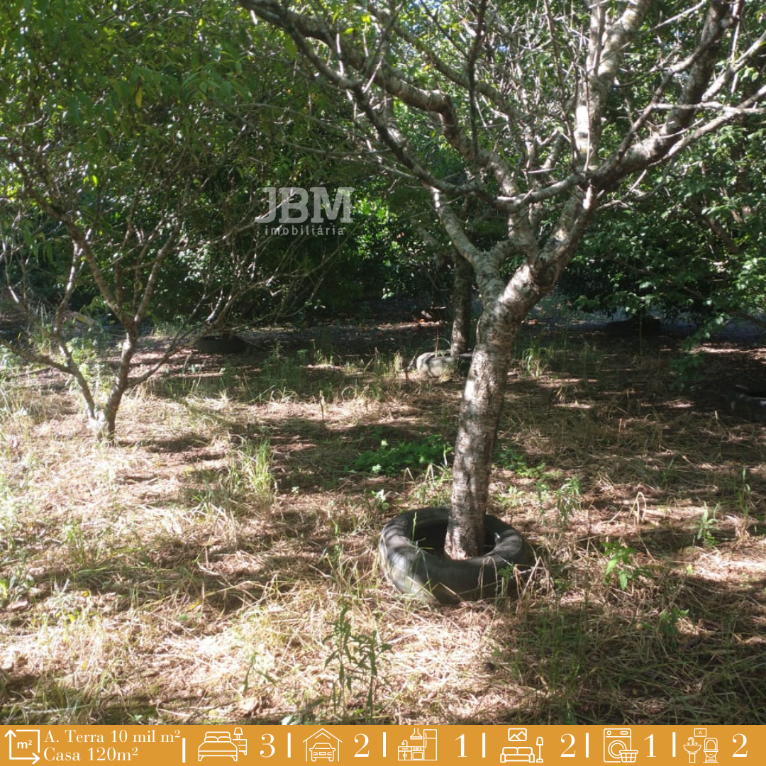 Chácara na Linha Cambuinzal em Xanxerê
