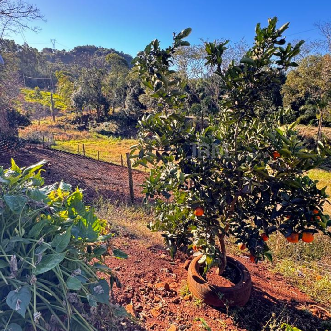 Sítio na Linha Bom Sucesso em Xanxerê