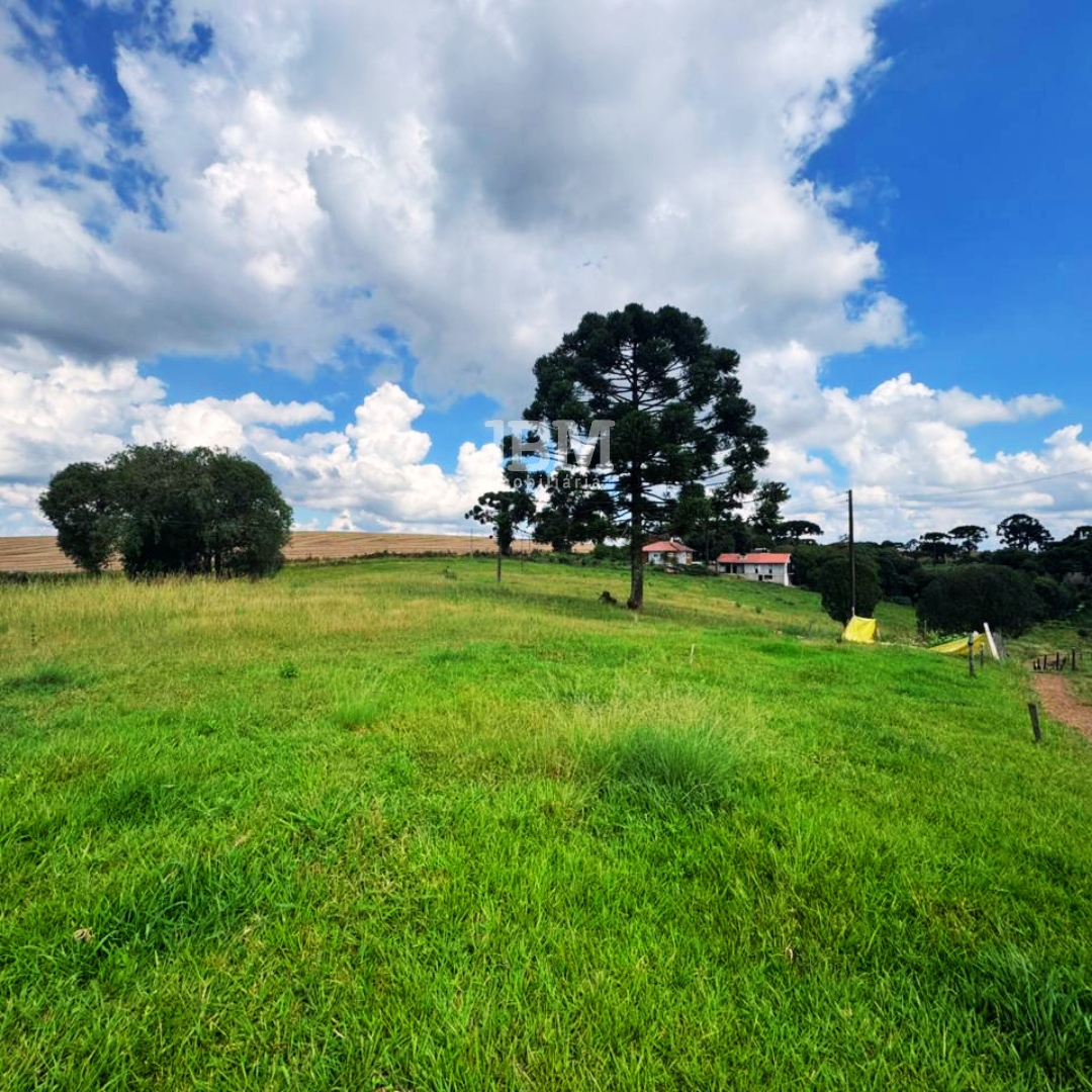 Área de terra á venda