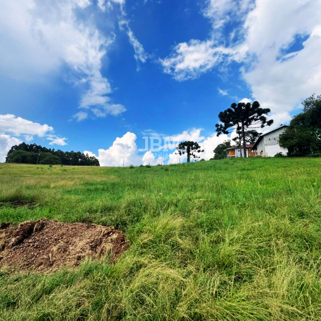 Área de terra á venda