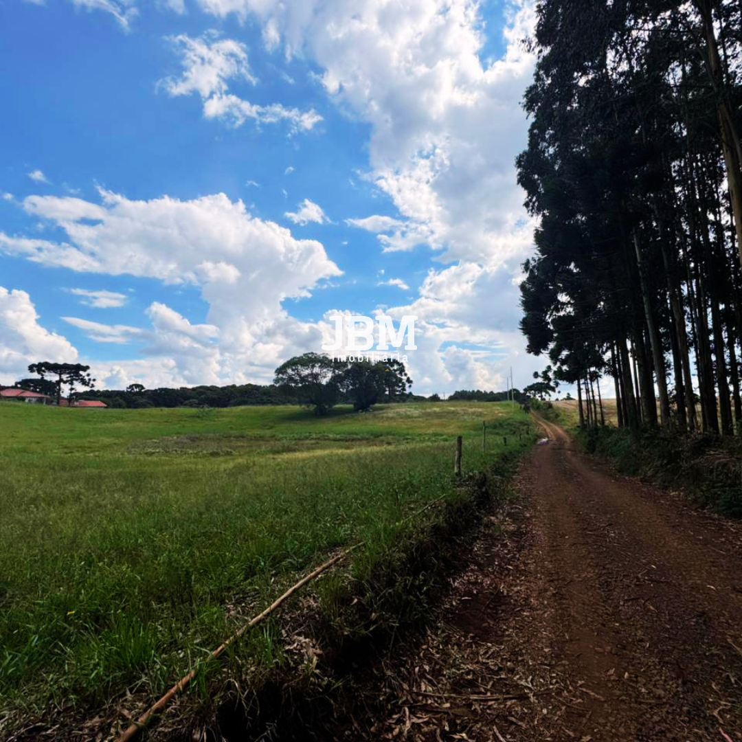Área de terra á venda