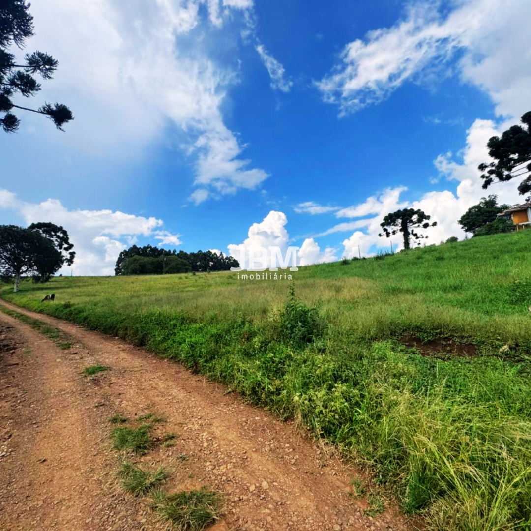 Área de terra á venda
