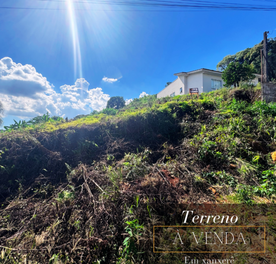 Lote á venda no Bairro Tacca