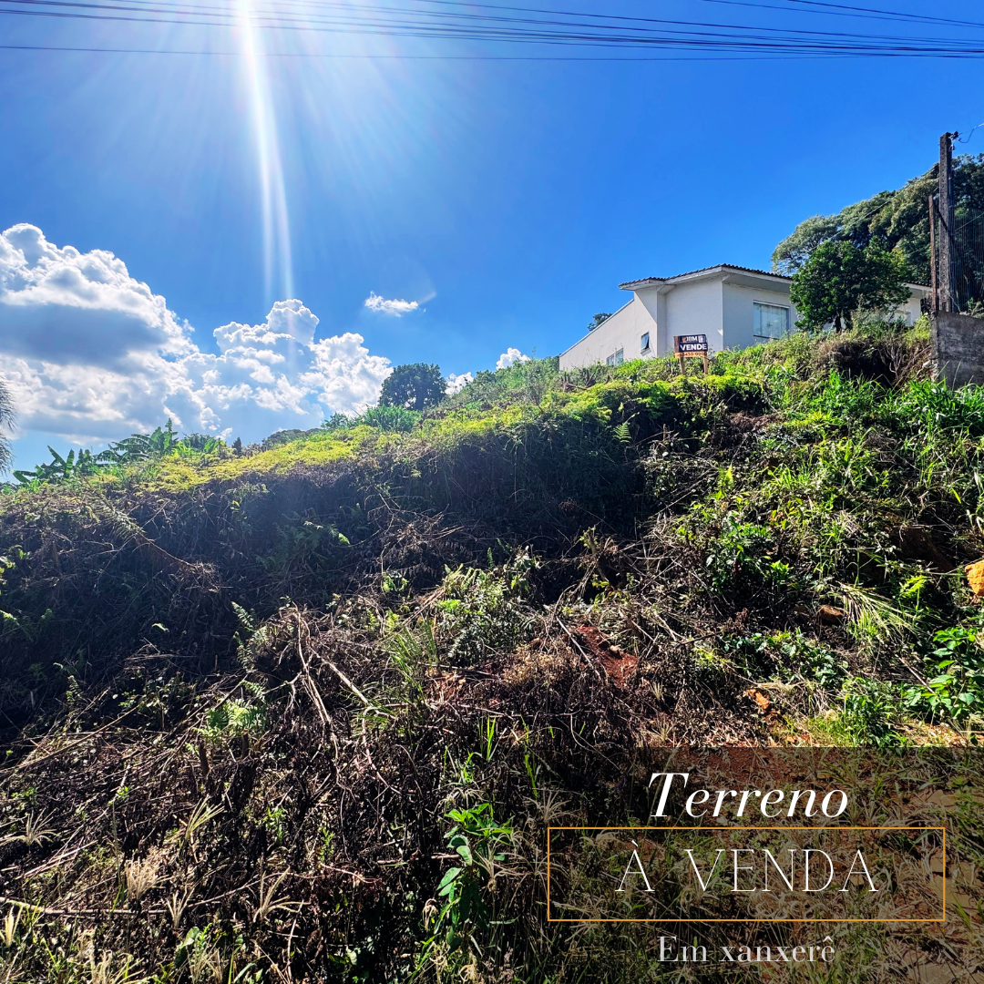 Lote á venda no Bairro Tacca